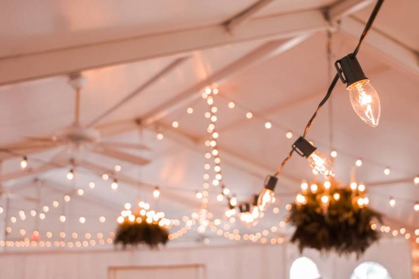 String Lights. Reception.