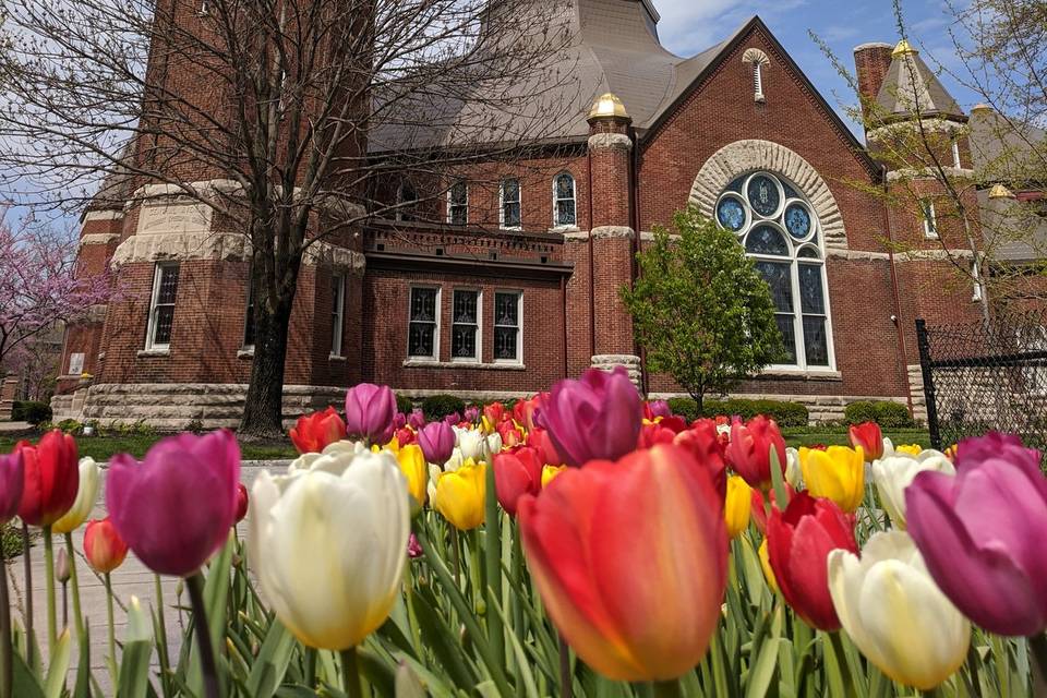 ILC - springtime