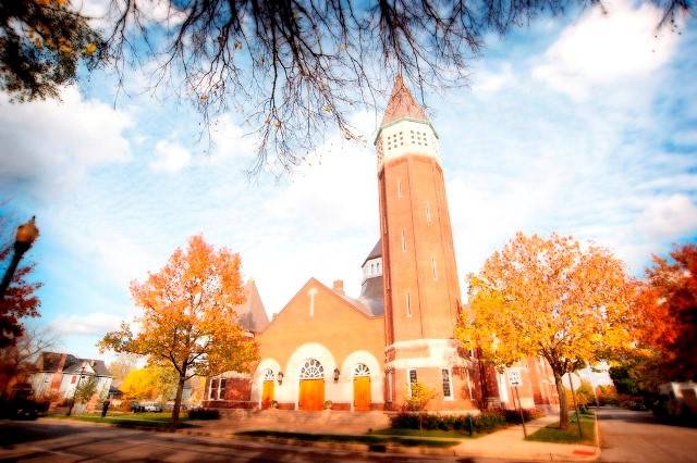 ILC - Fall Foliage