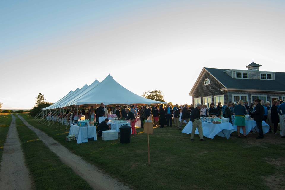Savvy Event Rental