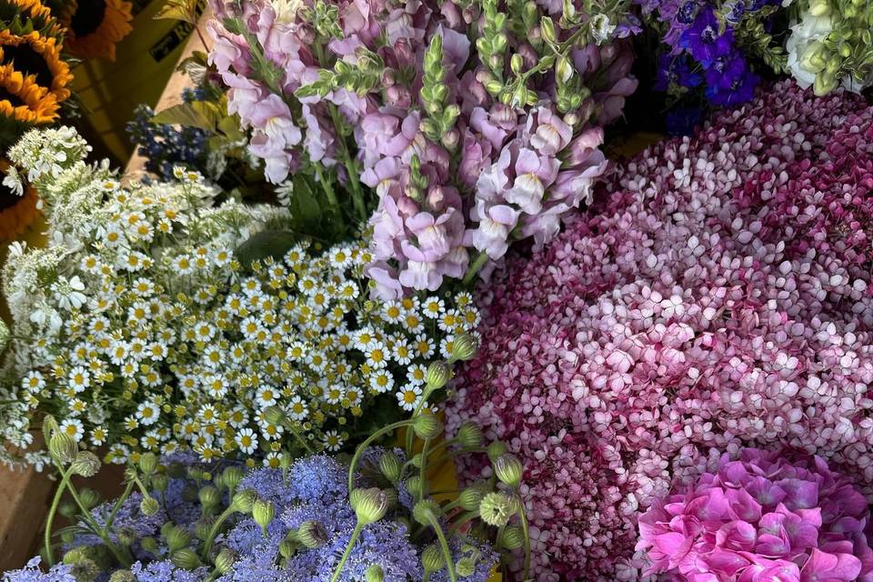 Winters Farm Florals