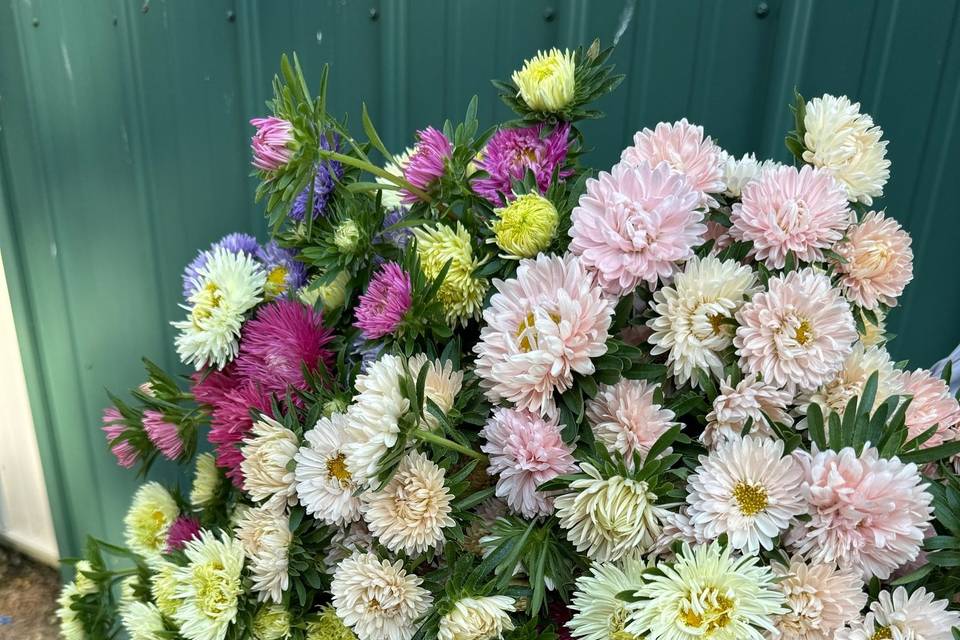 Winters Farm Florals