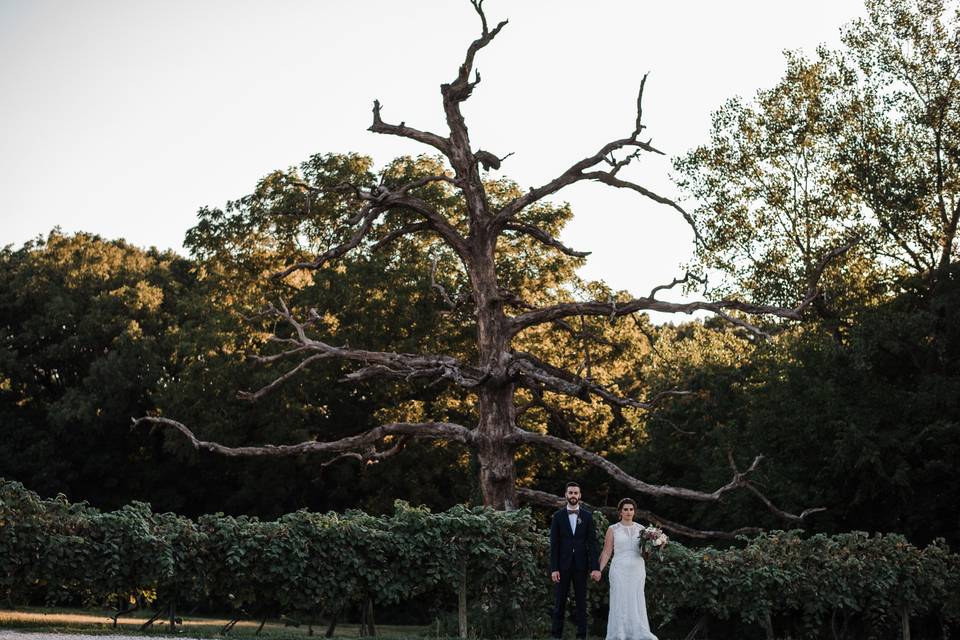 The bride and groom