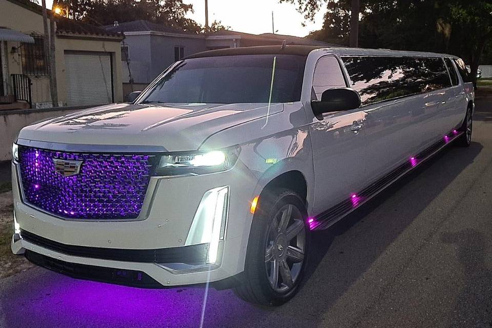 Premier Limo Services Inc