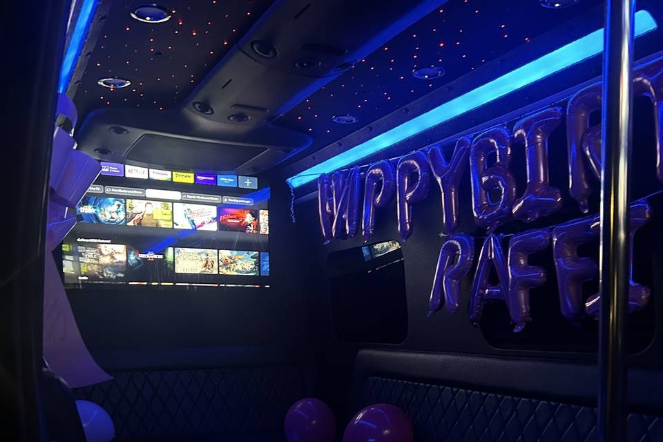 Mercedes Sprinter (decorated)