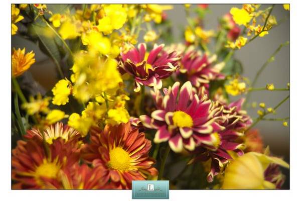 essence...of flowers