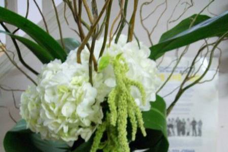 essence...of flowers