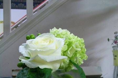 essence...of flowers