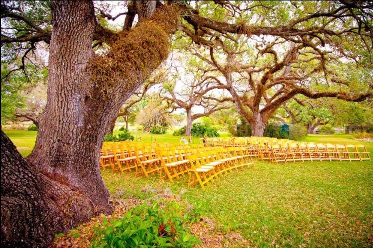 A Step Above Event Planning, LLC