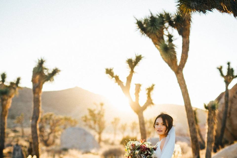 Joshua Tree