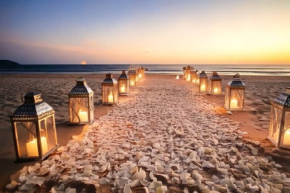 Petal aisle to the ocean