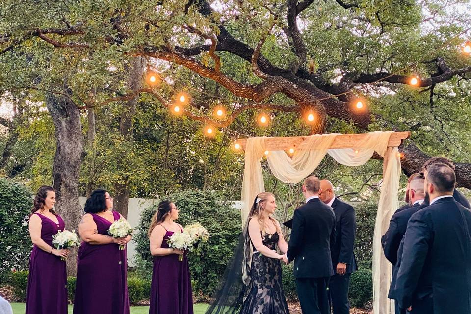 Rustic Wooden Arch