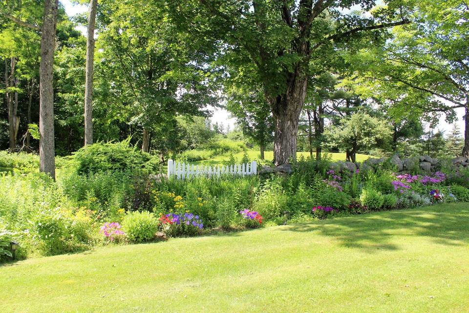 July Garden View