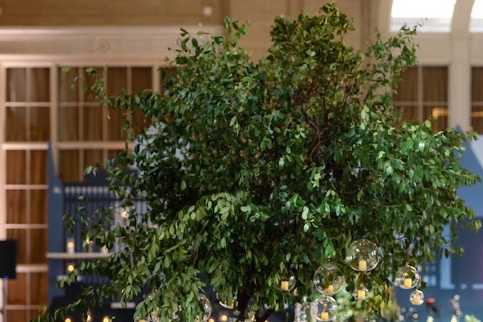 Lua Floral Artistry