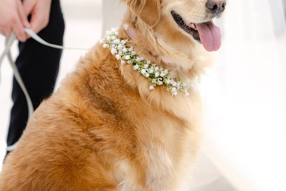 Lua Floral Artistry