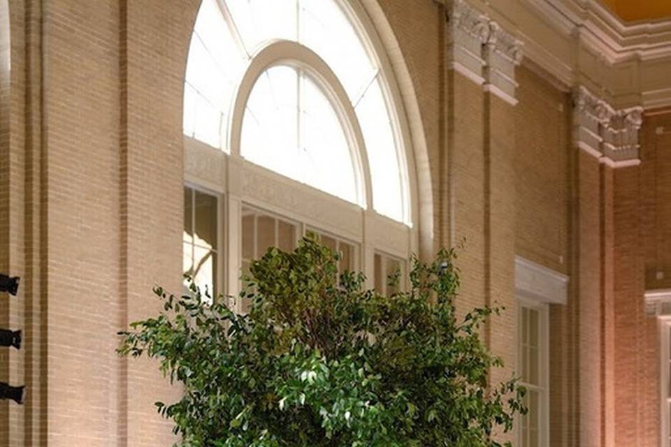 Lua Floral Artistry