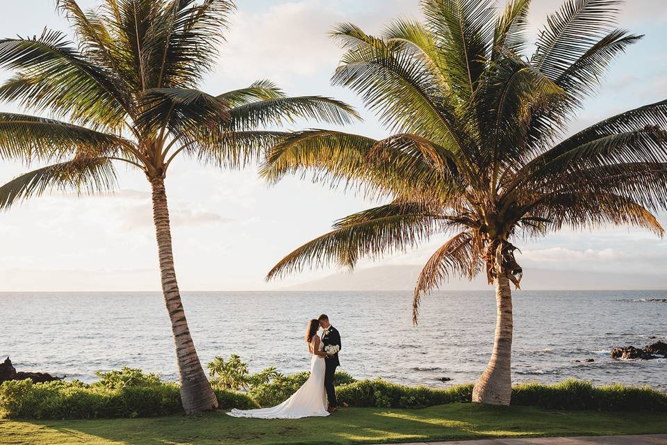 Palm tree love