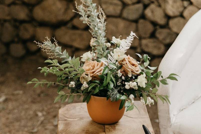 Sarah May Designs