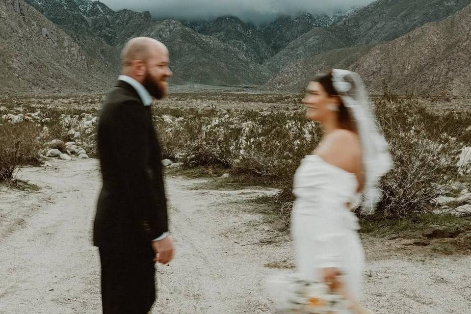 Desert Bridal
