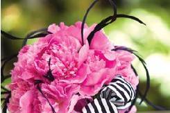 Pink Peony Bouquet with black feathers