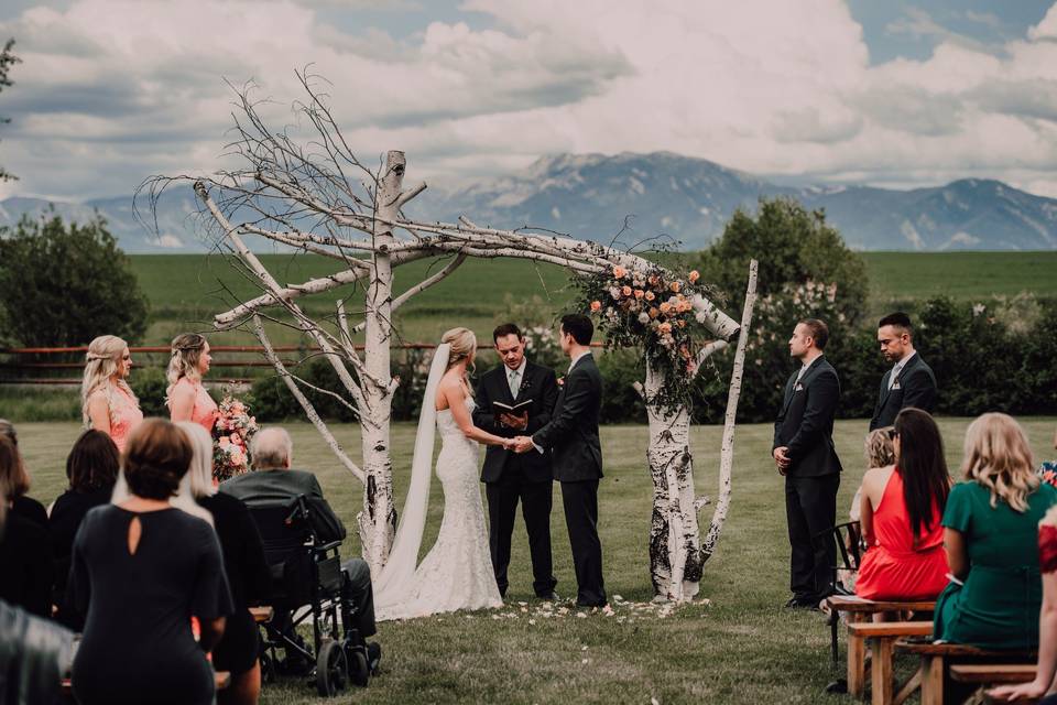 Bridger mountain backdrop