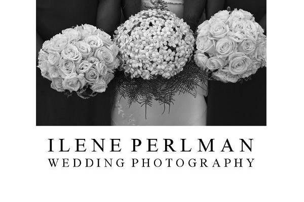 Ilene Perlman Photography