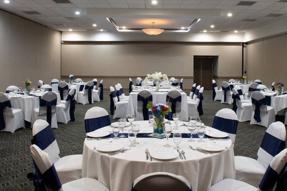 Our spacious ballroom can accommodate upwards of 350 guests.
