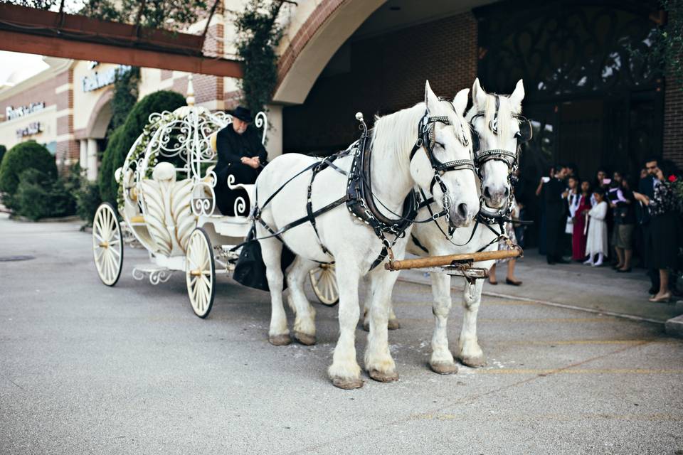 Enchanted Cypress Ballroom