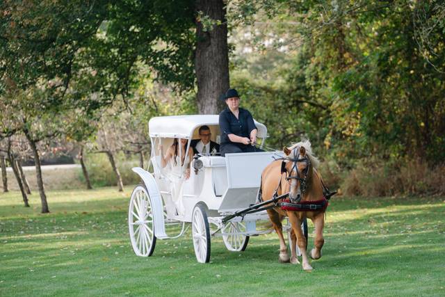 Carriage
