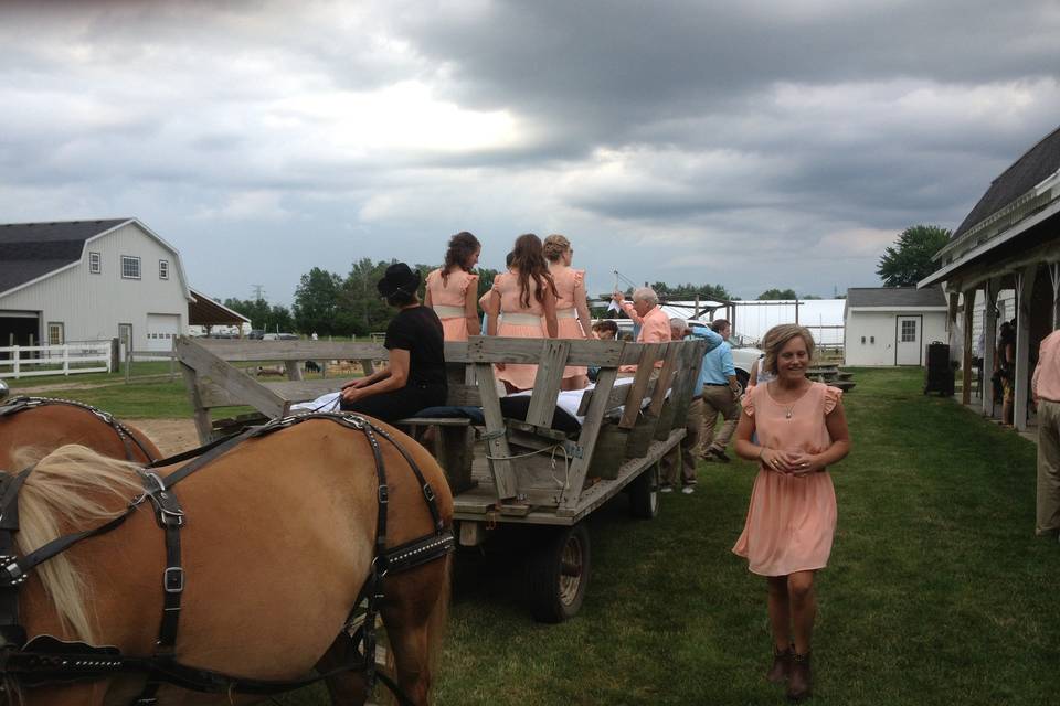 Wedding carriage