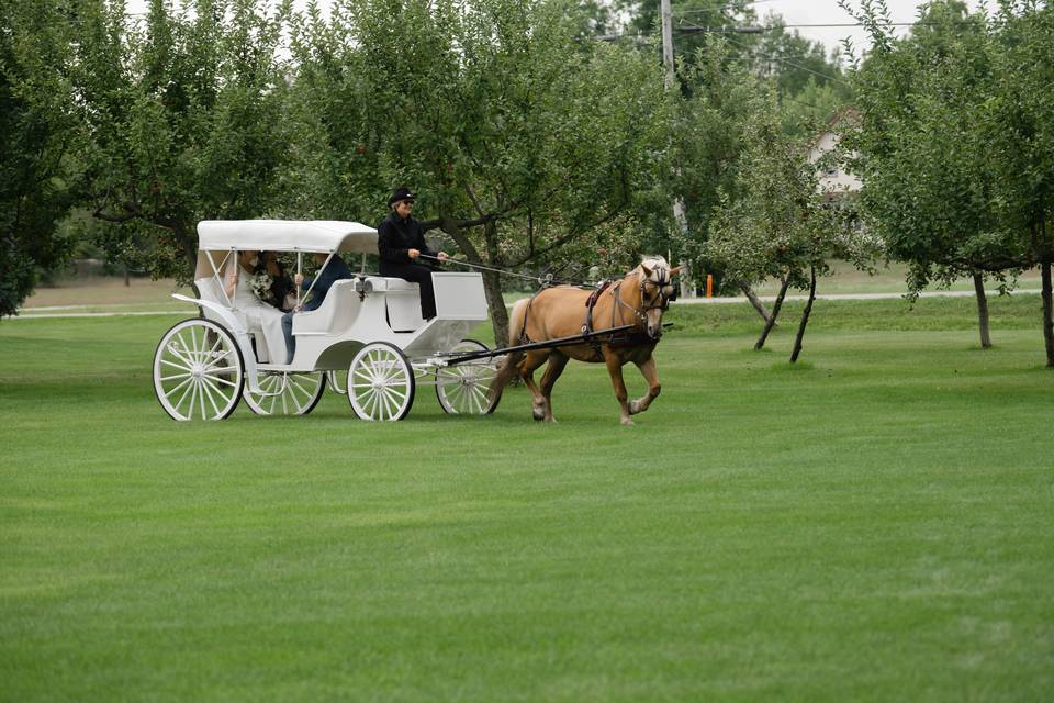 Carriage