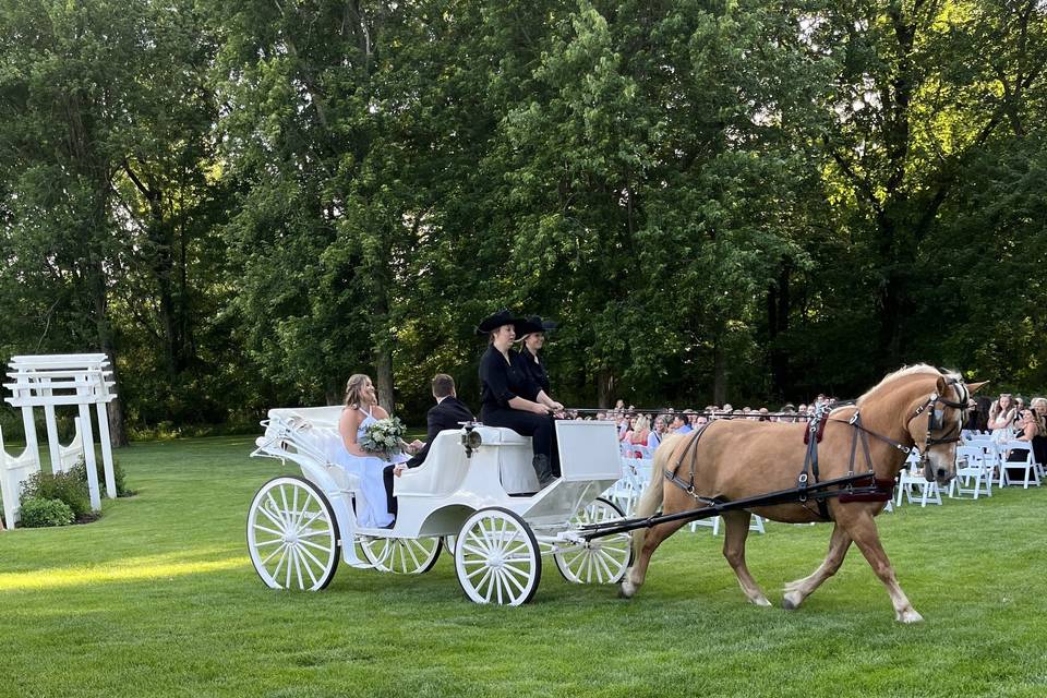 Carriage