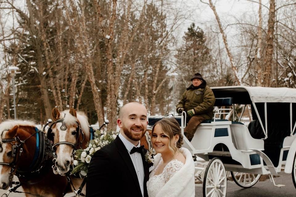 Horse-Drawn Carriage