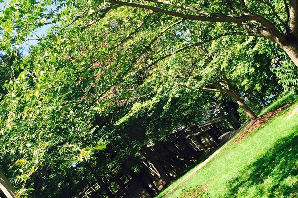 Koll Kay & Company, LLC