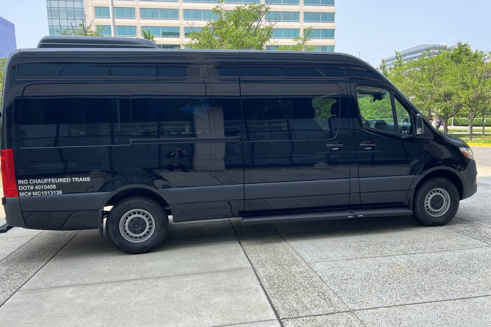 Wedding Luxury Sprinter Van