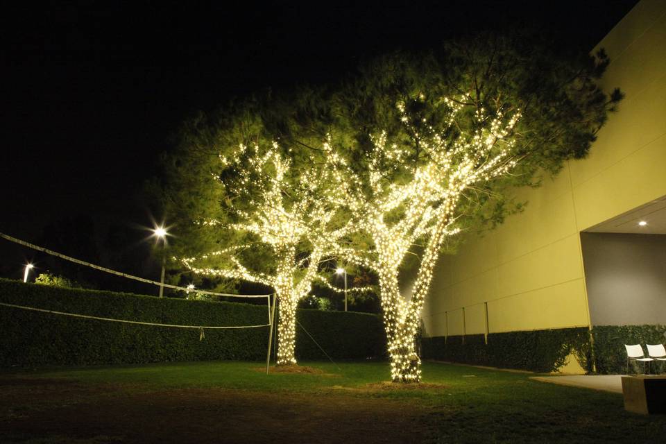 Los Angeles Christmas Light Installers