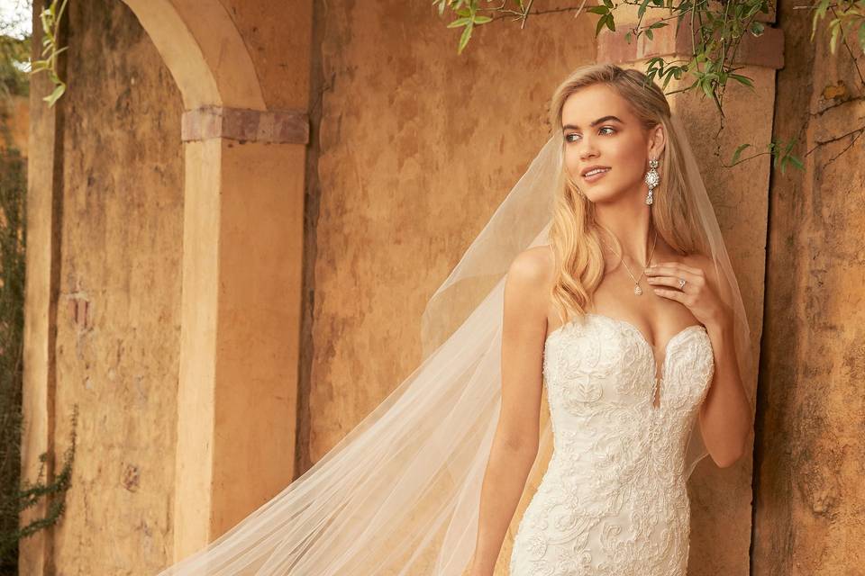 Sophia Tolli 2020