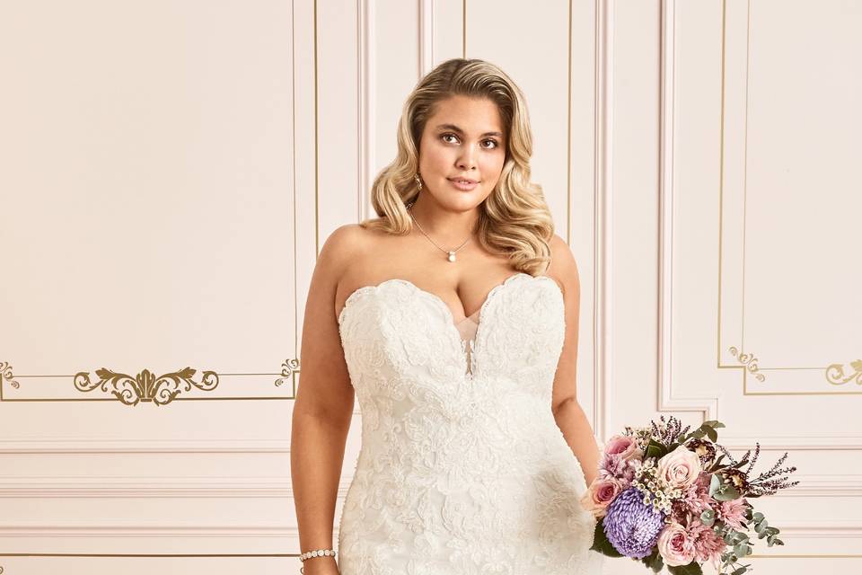 Sophia Tolli 2020