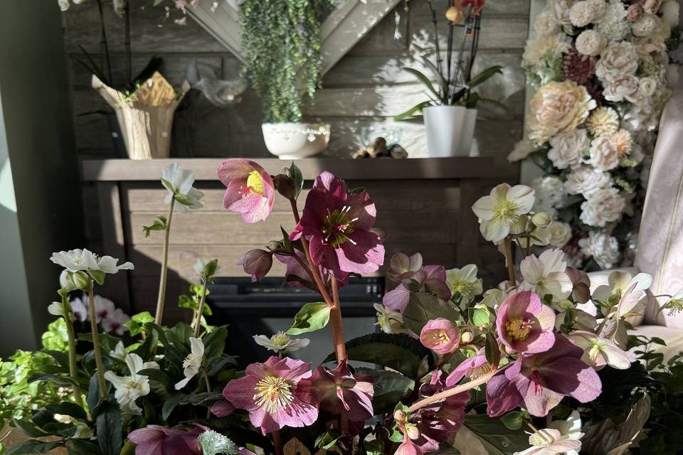 Daisy & Co. Floral Boutique