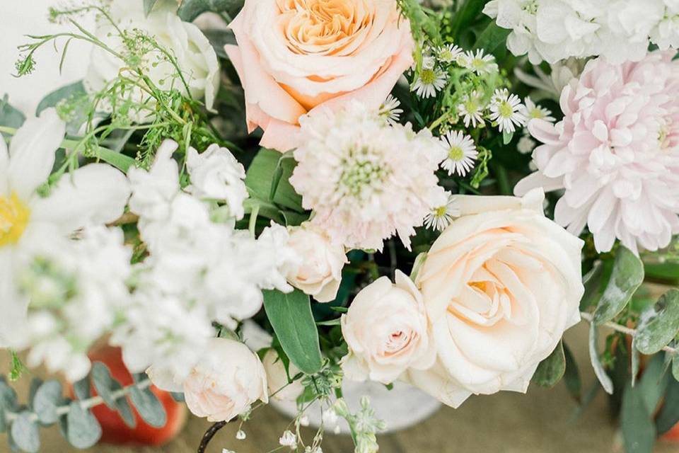 Daisy & Co. Floral Boutique