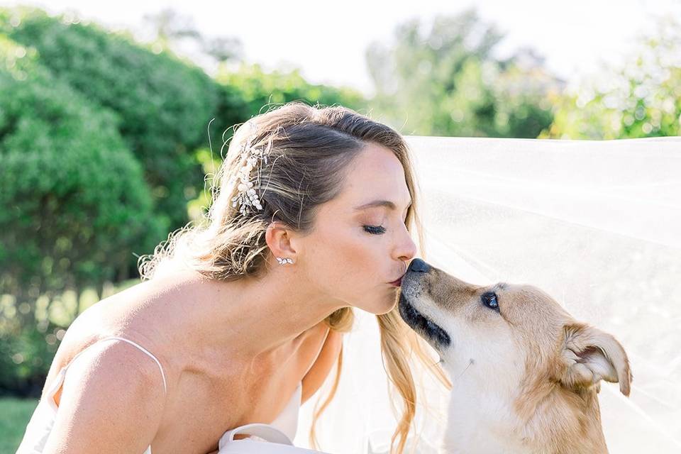 Dog kisses bride