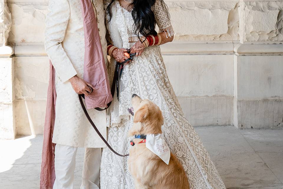 Indian wedding with dog