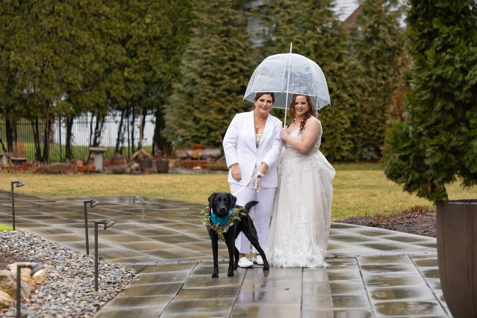 Wedding with dog in rain