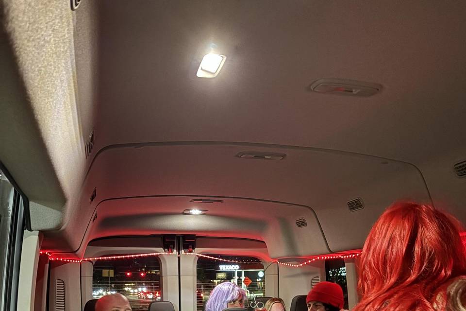 Ford Transit Sprinter Party