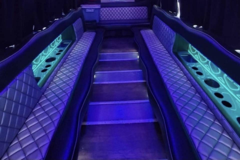20 Passenger Party Bus