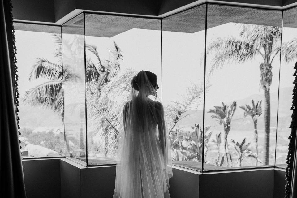 The Bride