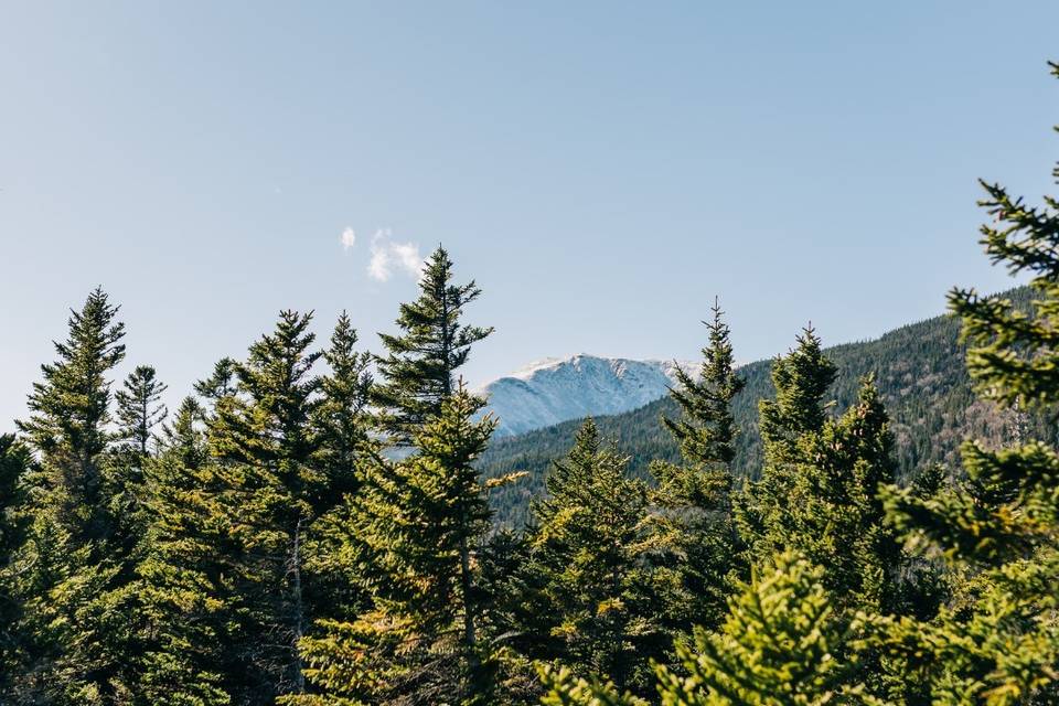 Little Lyford Lodge & Cabins