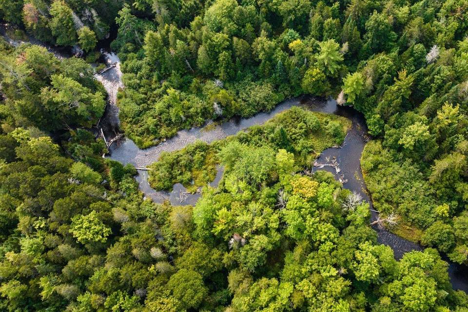 Little Lyford Lodge & Cabins