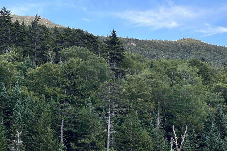 Little Lyford Lodge & Cabins