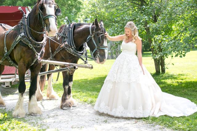 Wedding couple